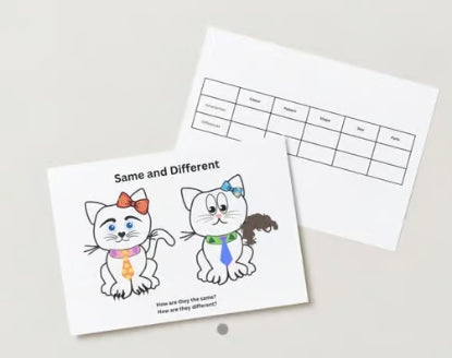 Similarities and Differences/ Same or Different in Cat activity