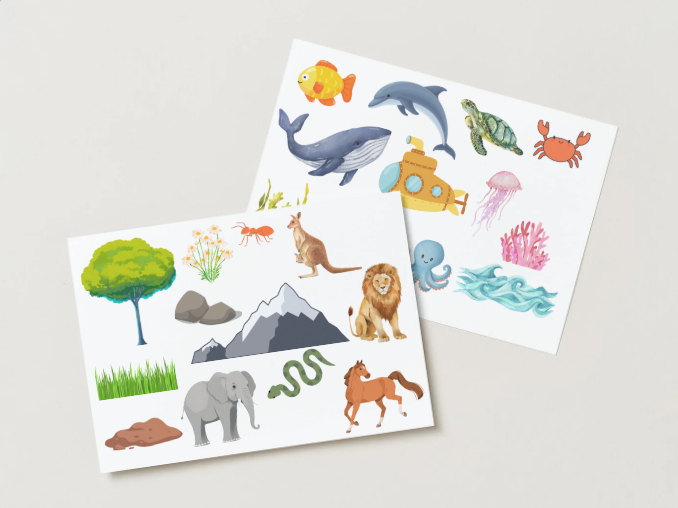 Level One Categorisation Kit: Water, Land, Sky, and Road